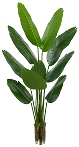 Planta Árvore Artificial Bananeira de Jardim Real Toque X10 Verde 1,60m